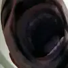 Davi Sedillo - @davidsedillo785 - TikTok