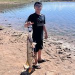 David Sedillo Jr - @davidsedillojr - Instagram