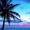 David Seeberger - @david.seeberger - TikTok