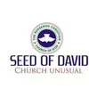 Seed David - @seeddavid - TikTok