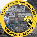David Segard - @segard_david - Instagram