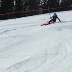 David Segelman - @segelmandavid - Instagram