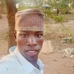 David Segese - @davidsegese - Instagram