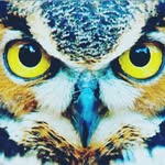 Давід - @david_segeyda - Instagram