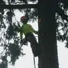 davidsegerman - @davidsegerman - TikTok