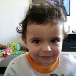 David Segev - @fanifan50 - Instagram