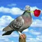 David Segundo - @david.segundo.359 - Instagram