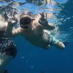 David Seibert - @seibert1616 - Instagram
