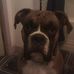 David Seibold - Facebook