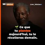 David le seigneur - @nadinengahebode - Instagram