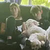 David Beausejour - @david.beausejour81 - TikTok