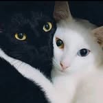 David Séjournax - @david_sejournax - Instagram
