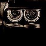 david s - @_david_selinger - Instagram