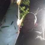 David Selinger - @davidselinger0 - Instagram