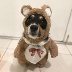 David Selinger - @daveselinger - Instagram
