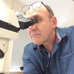 David Semple - @davidsemple13 - Instagram