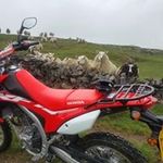 David Semple - @s3mps - Instagram