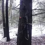 David Seppala - @603diesel603 - Instagram
