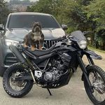 David Sequeira - @davidssequeira - Instagram