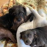 David Serafin - @david.serafin.3956 - Instagram