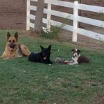 David Serafin - @david.serafin.56 - Instagram