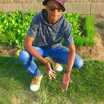 David sesinyi - @davidsesinyi - Instagram