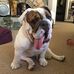 Dave Sidlick - Facebook