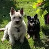 David Setlock823 - @user029858642 - TikTok