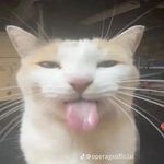 David Ševčík - @david.sevcik_ - Instagram