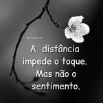 David Severo Da Silva - @davidseverodasilva - Instagram