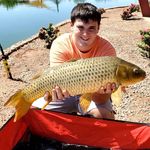 David shaffer - @carp_angler617 - Instagram