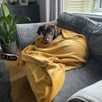 David Sharp - Facebook