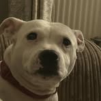 David Shaw - Facebook