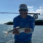 David Shealy - @davidbshealy - Instagram