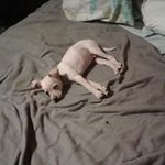 David Shears - @david.shears.982 - Instagram