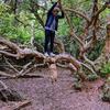 davidshearsby - @davidshearsby - TikTok