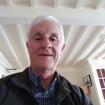 David Shedden - @shedden.david - Instagram