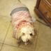 David Sheetz - Facebook