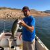 David Sheetz - Facebook