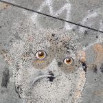 David Shein - @davidshein - Instagram