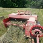 David Shelburne - @shelburnedavid - Instagram