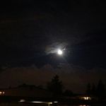 @david_shelby___ - Instagram