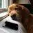 David Sherrod985 - @davidsherrod3 - TikTok