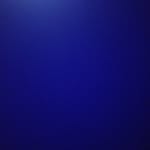 david - @davidshevchuk2023 - Instagram