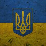 Go Follow Main😂David.shevchuk - @david.shevchuk.spamm - Instagram