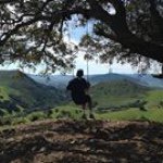 David Shevlin - @dovshev - Instagram
