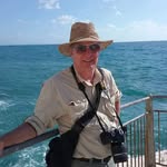 David Shick - @shickdavid - Instagram