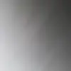 David Shield - @davidshield - TikTok
