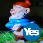 David Shields - @david.shields.946 - Instagram