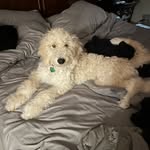 David Shiflett - @shiflett.david - Instagram